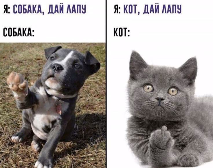 12238b73a090bebf87a5ce05e7c1fa6e.avif