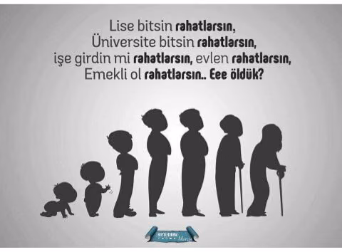 122fbce2742237dfd2dd45f3371acd31.jpg