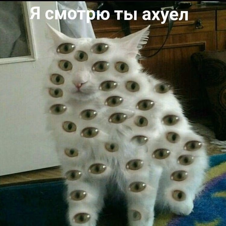 1252203d7eacc847ea4f7762b9b76095.jpg