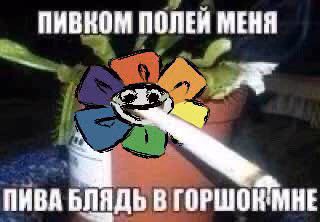 125a344e137ae314c9e98ea6dcd1cf8b.avif
