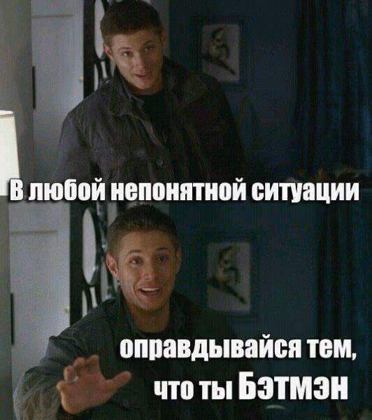 125f544b68d9aea3c335593c5e19786e.avif