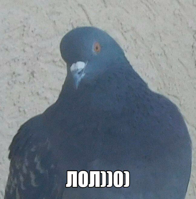 12606e6f42b3d4066d5f648825658472.avif