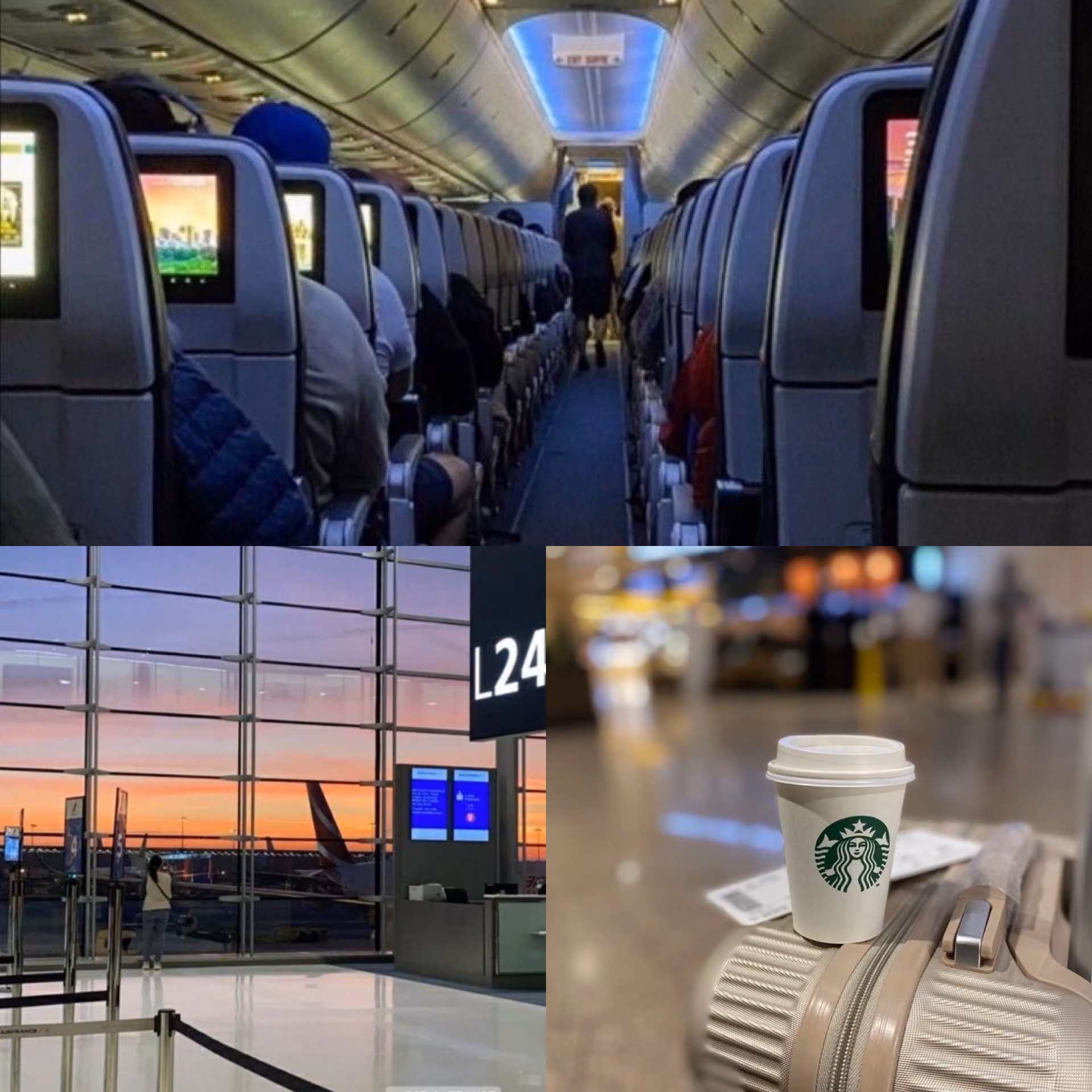 12641b403ff010137ab7d1c1162123bf.avif