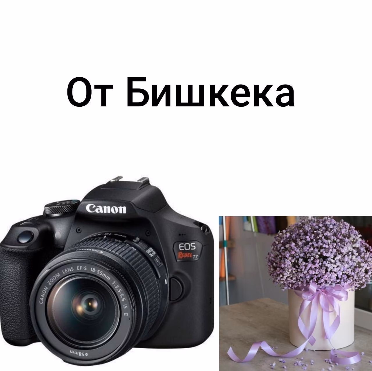 12677743d4ce98c23e600a9c66edd689.avif