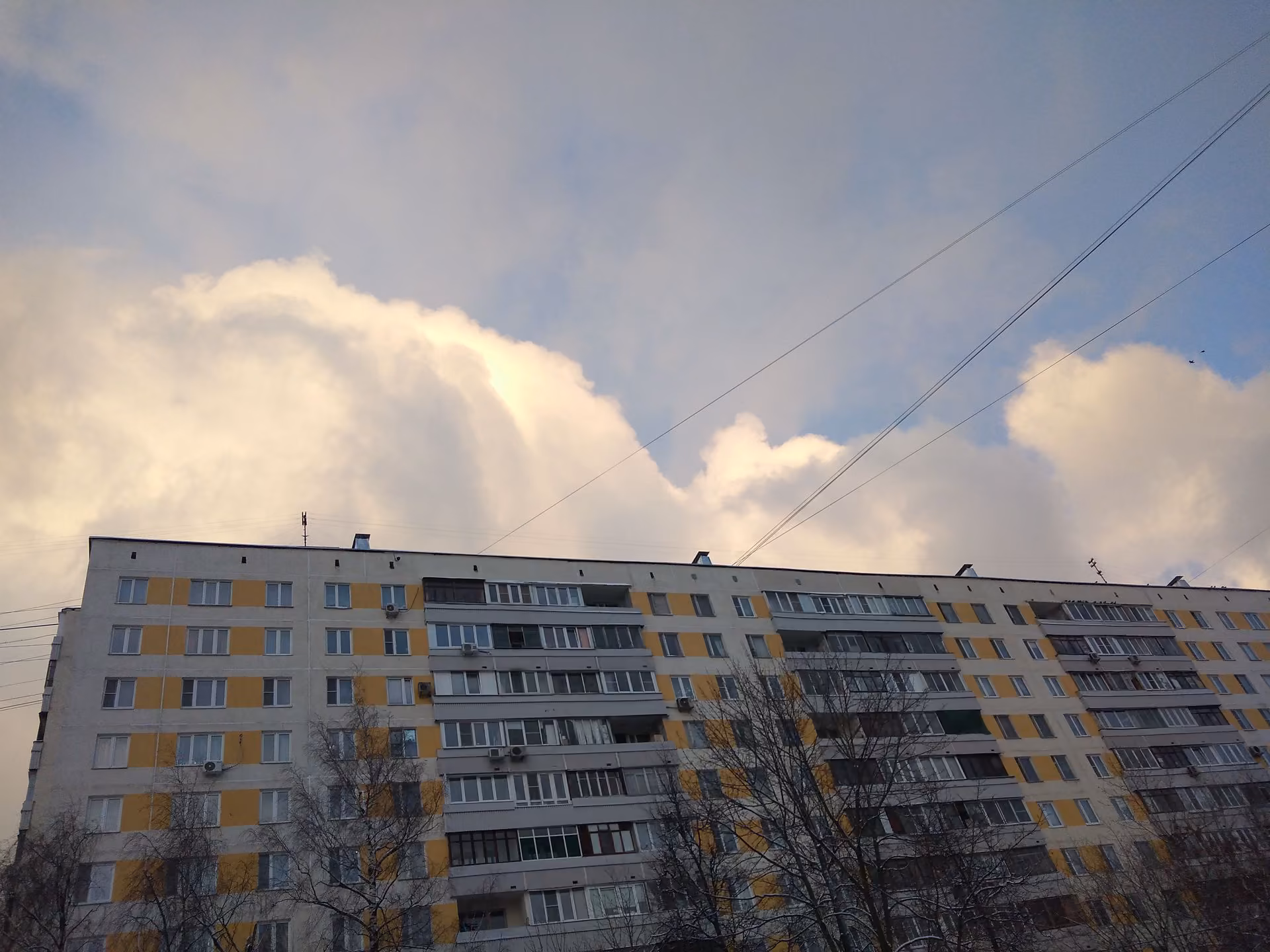 126d3752c774e15f86372e39bfa1d0b5.avif
