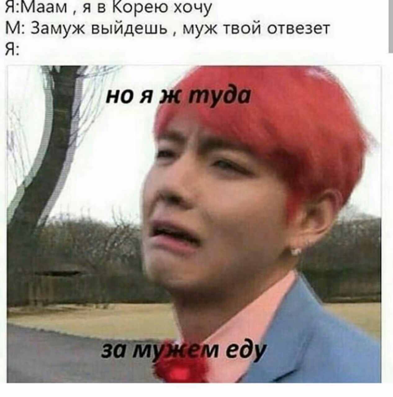 127d86fdb28892f64488a7235f4137b3.avif