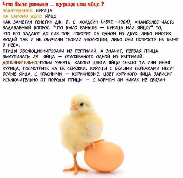1288542eff45be3a6be1f8c8957e7bb9.avif