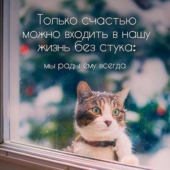 129adc4fa46441fd1f21597ce7c0f159.jpg