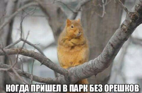 129da07b383af52d9c6f97ebb5142519.jpg