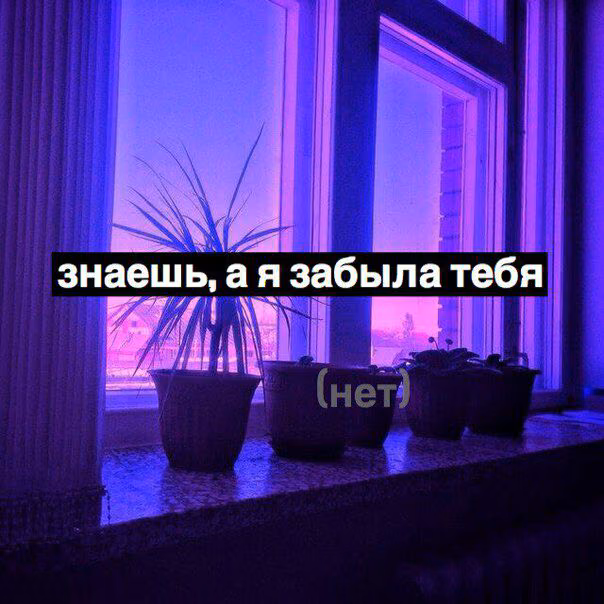 12a6127ff808ccabbd9af635ad9867e2.jpg