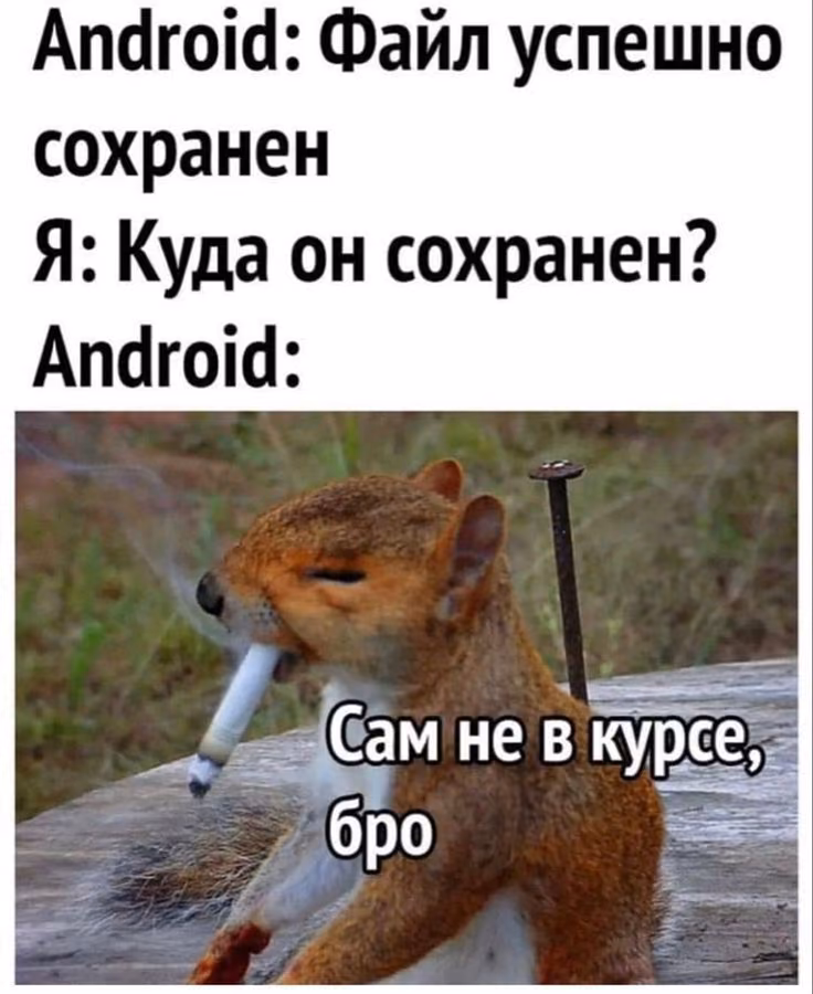 12a84d25a20504090c90ec19364e4712.avif