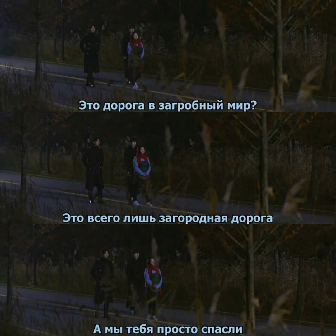 12ab03743b338c80f27d3cdd41391469.avif