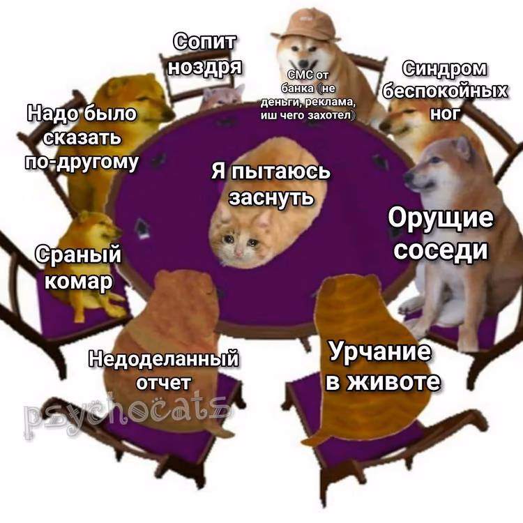 12b52985bbd0e249ba6cb8484157a0bb.jpg