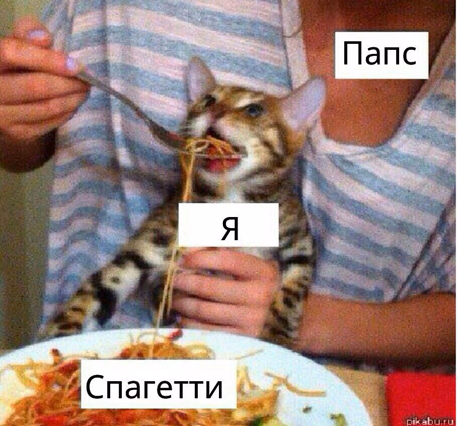 12cb092d86538474c8fe444ff33bb0bc.avif