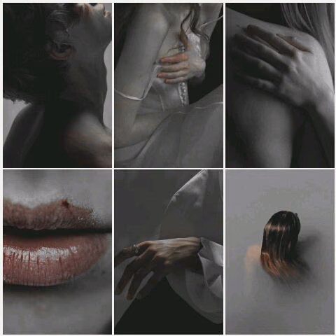 12d23d88324a53b41e1eeed05d8970fb.avif