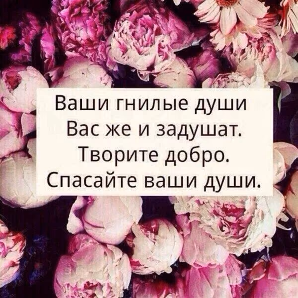12df44edcb043c49f85b621cf9571f9f.jpg
