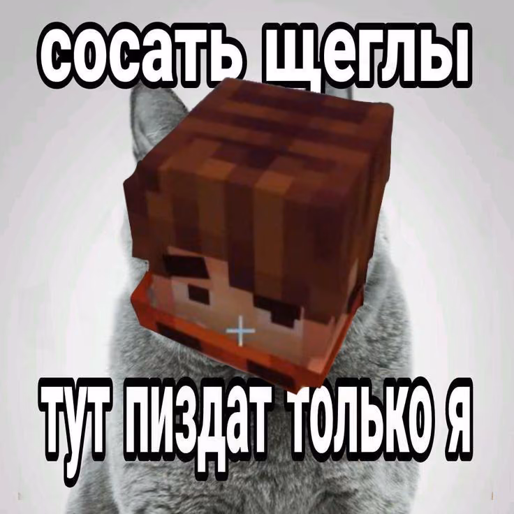 12f09e25b717163dd350e99e54222b33.avif