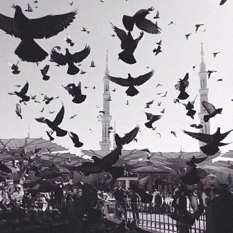 12f59980e6e767ef8d7096ae1984a43e.avif