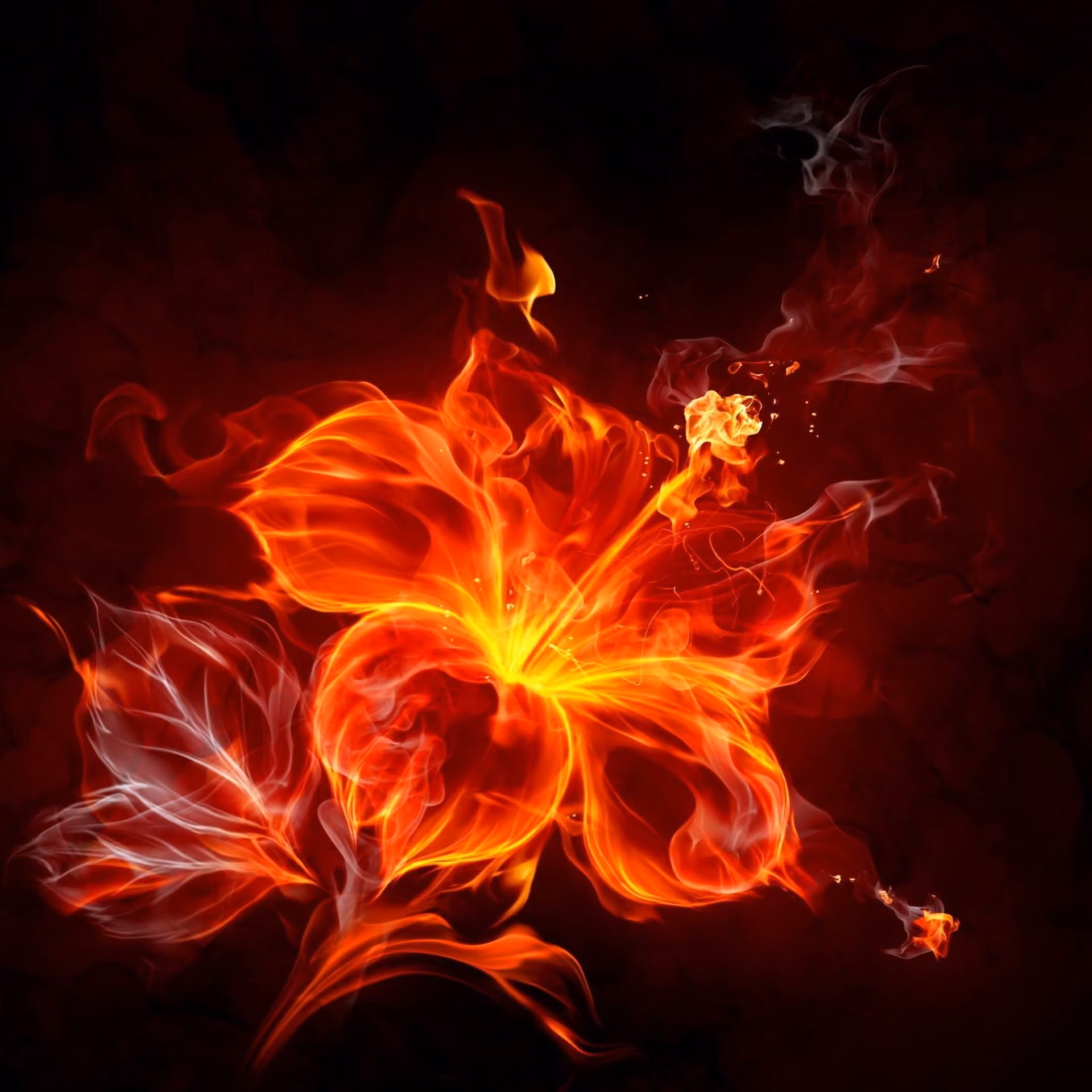 131fdb1b5fa27e9379fa28c045bc1fca.jpg