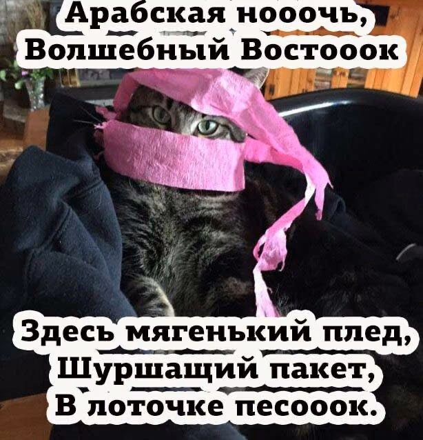 132b8cfa0549a9d2a9cdade586ab9709.jpg