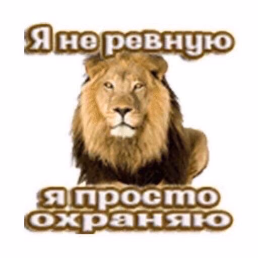 132dc57e5667246b1ff372a6f7c30a5d.avif