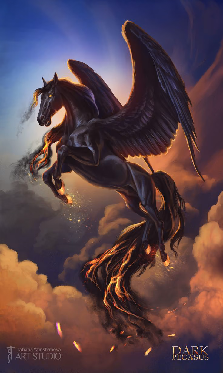 1339547079b4e20eae64611d5c4074ae.avif