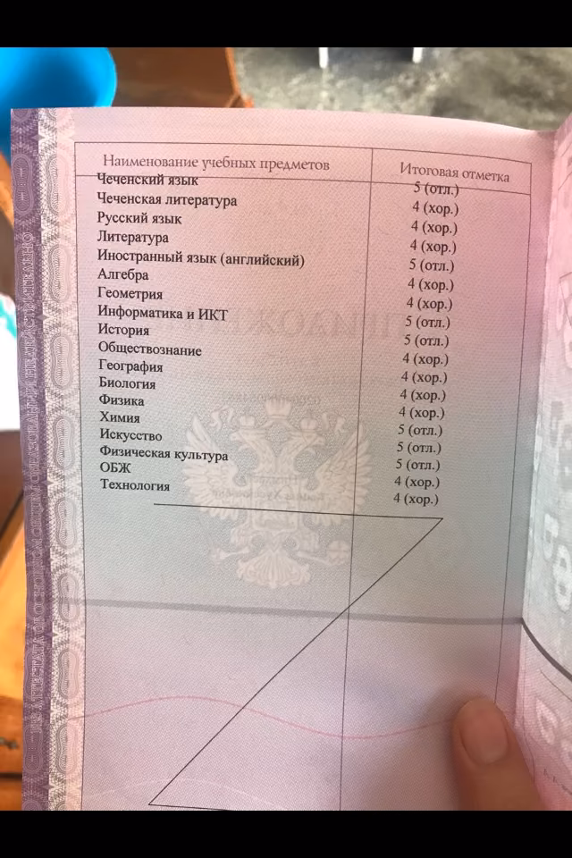133c9bb6229aa39d7578265917ccf307.jpg
