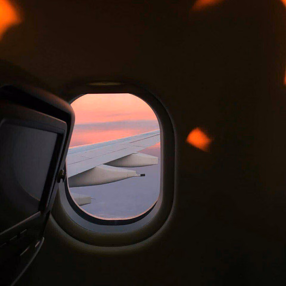 136511cc055769e3aafcc0b749b0560d.avif