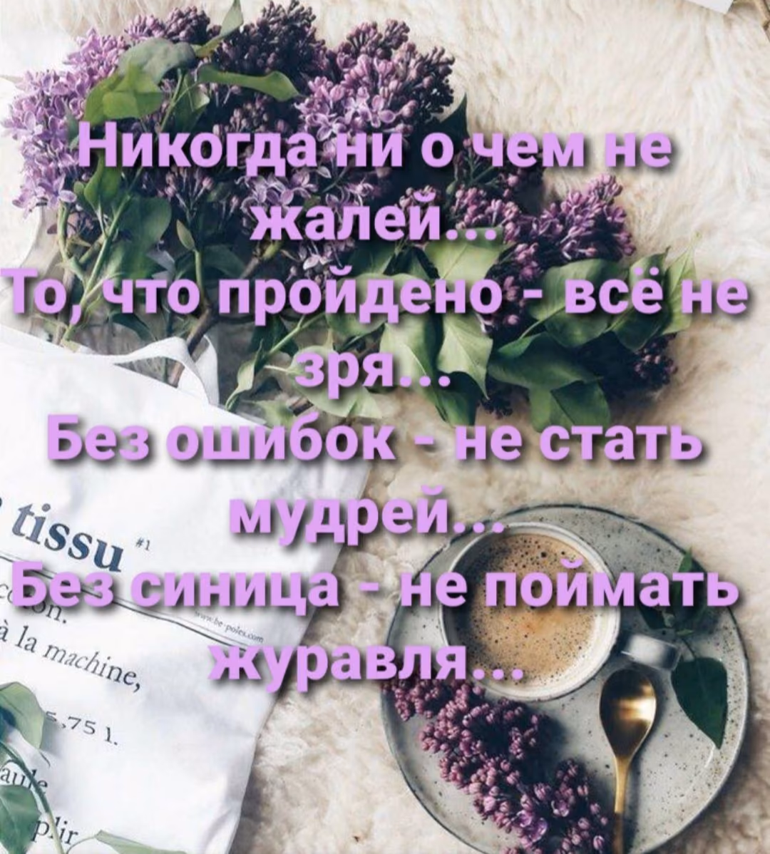 13738264bd65eb9175d51277210b2731.jpg
