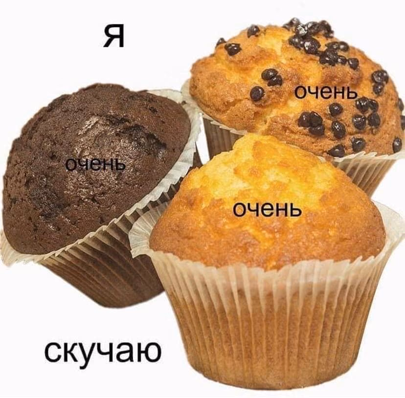 1376b93add562a35bd2382a4447183f5.jpg