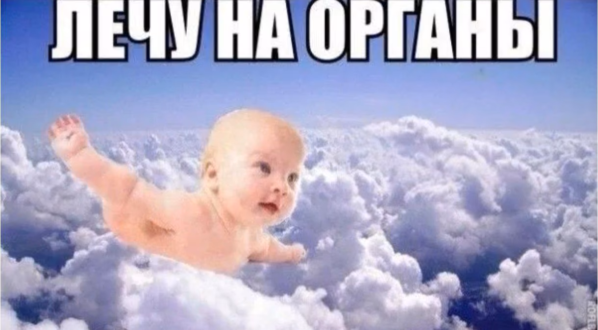 138efe493eef93de1279124c1c20e38f.avif