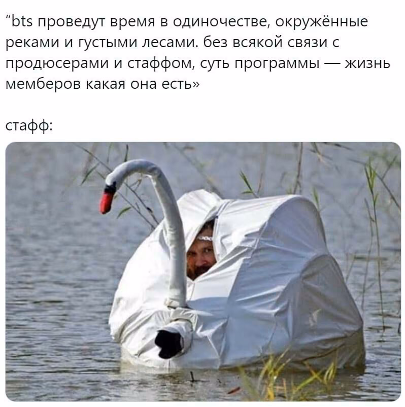 1392b8fa494c7947b924088594e441bb.jpg
