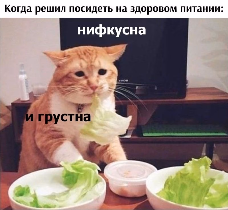 13aeb72a9a3ff185cb42ec5ec116313f.jpg