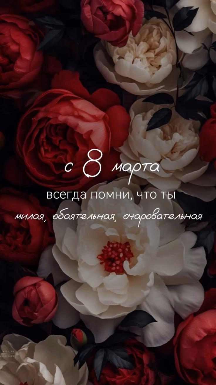 13bbd7807247750922645a22a173b89e.avif
