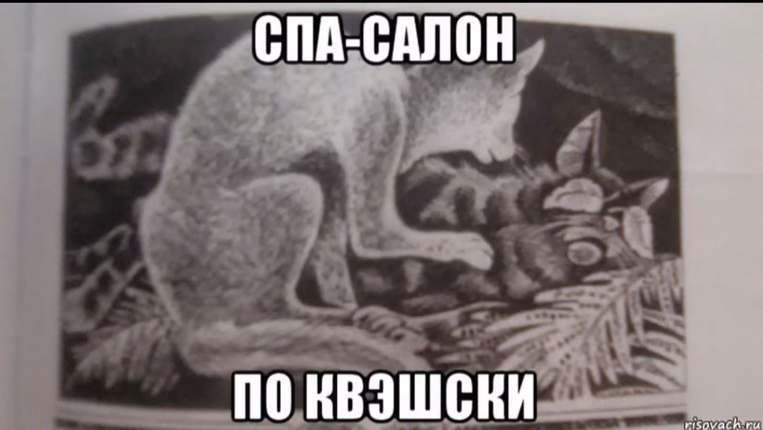 13bf02e1864bd008ef4282aa0b13fc77.avif