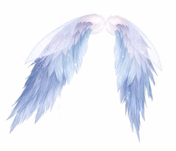 13c4e7b2a0b9c221346e2c63211aa451.avif