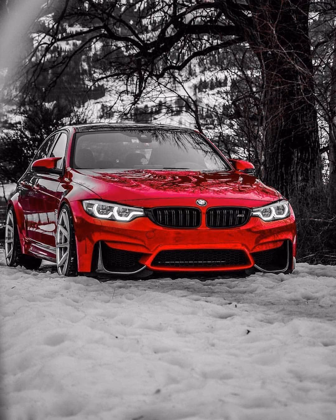 13c7c87eeb2bcc070a46bca405ecd8b4.jpg