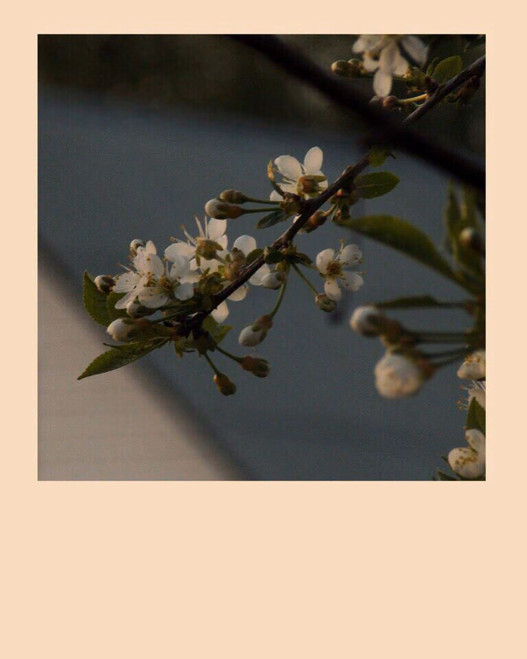 13c92a3799bcd7d5b46a42108ad5fb2d.jpg