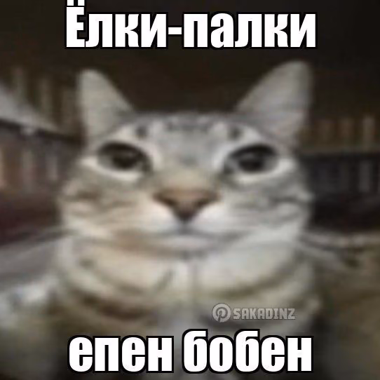 13cd63cd5b5f25359ba7914d1be13c29.avif