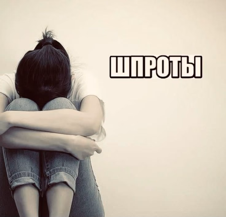 13d6a70088629997ea1cce8101f5cb30.avif