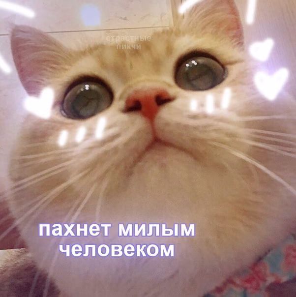 13f15e8c414f5a2ea298176ab7b96a6c.avif