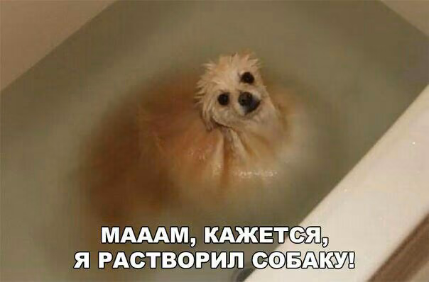 13f19b887a95e629dda682272f758b9f.jpg