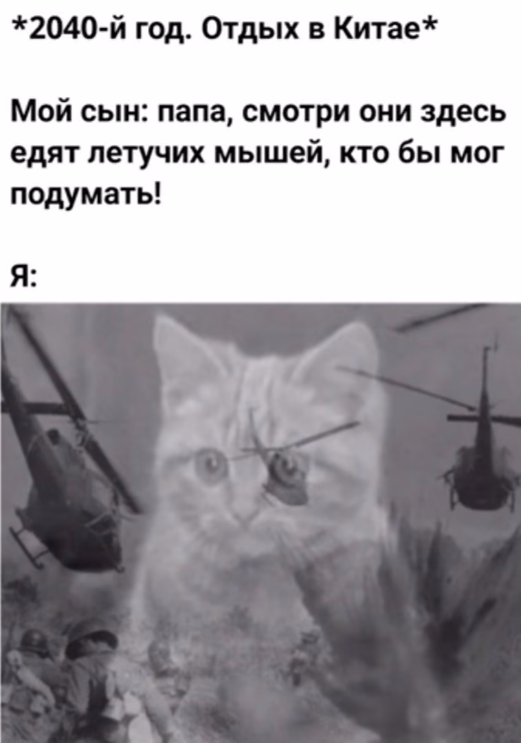 13fa2413821e03ee5498a0654f2c26fb.jpg