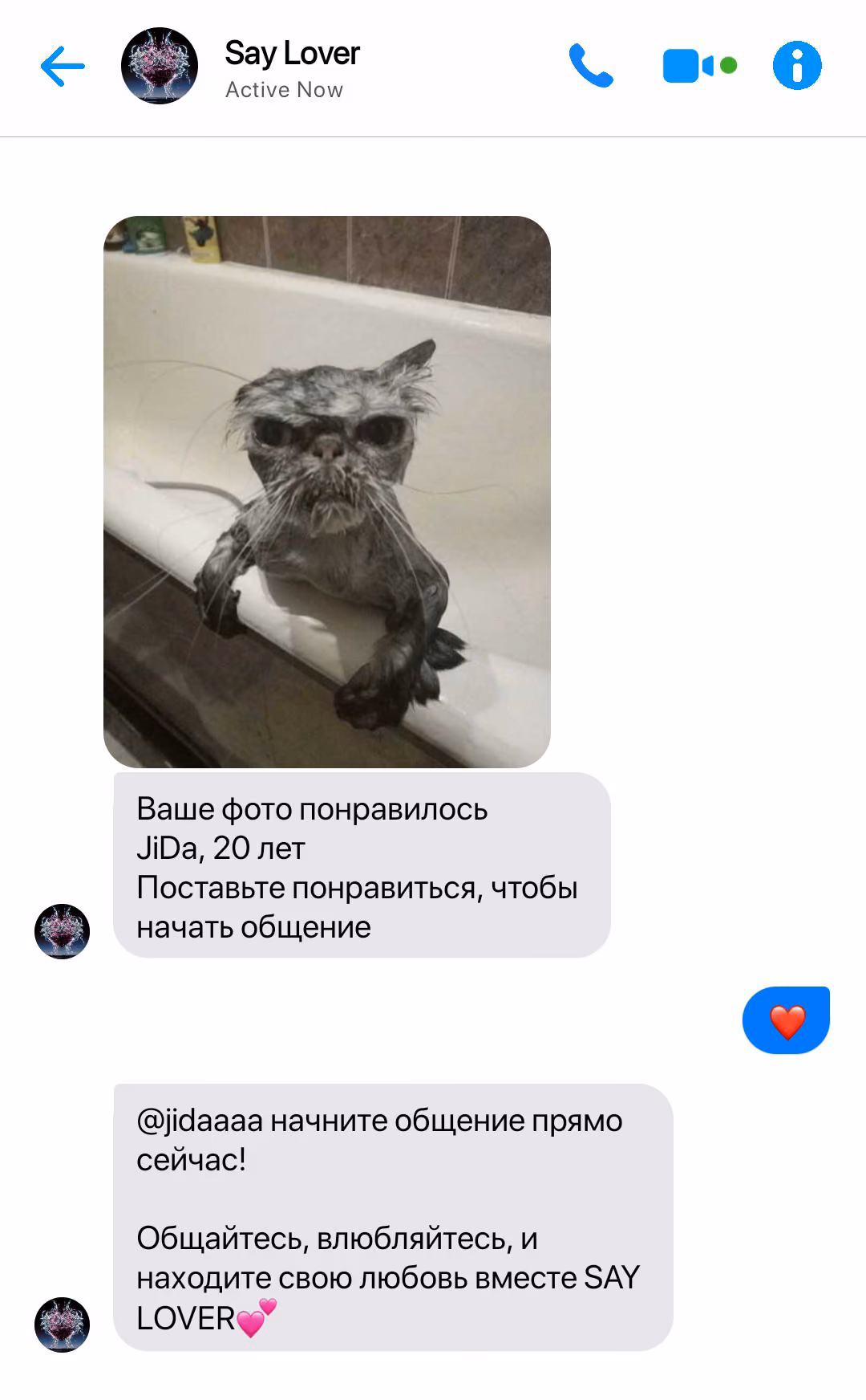 1407e276ce67adaeb0099d2f0a236915.avif