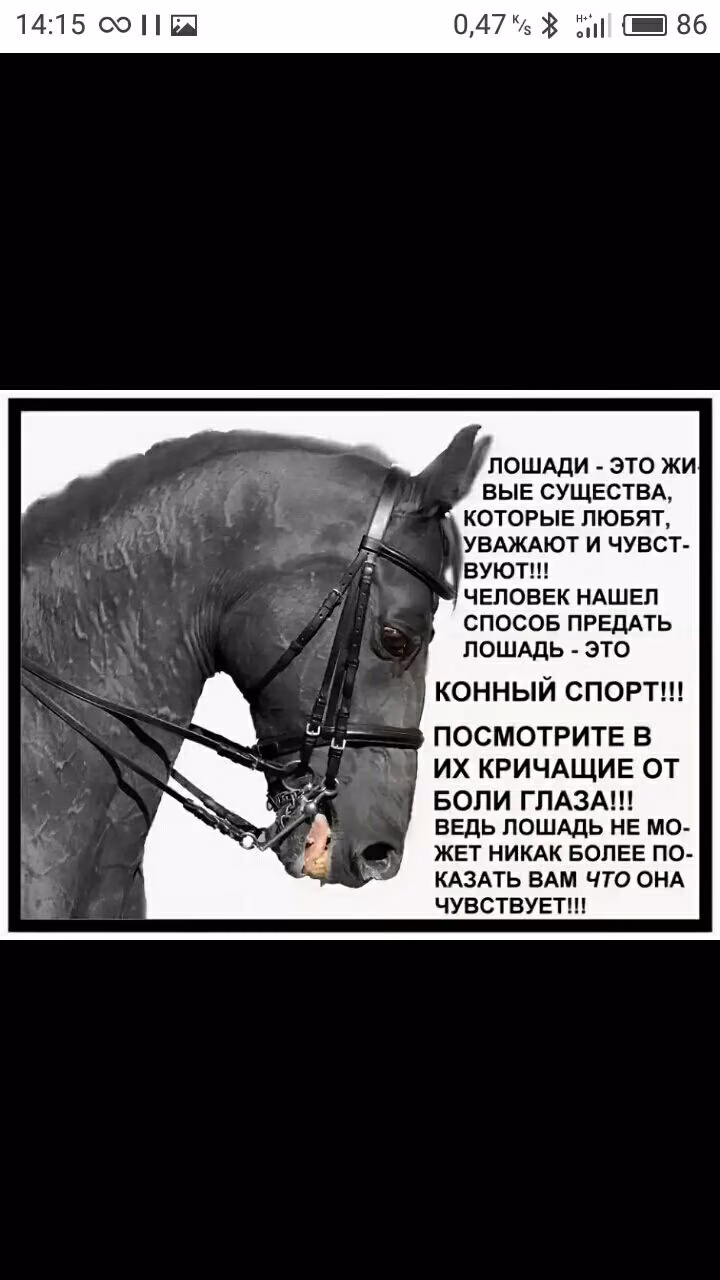 14321a6ebefafc982fd505a6e0f0cc90.avif