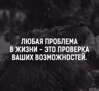 143c9b391034cb72bfc2317c6b7c7637.jpg