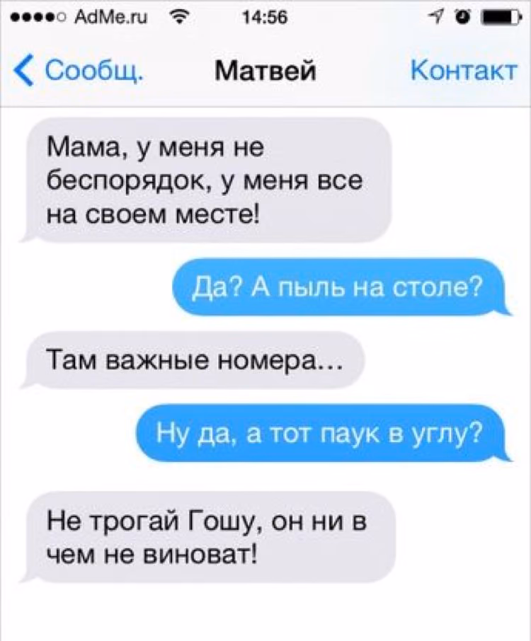 144b38700a4add33a6f24e89803371d0.avif