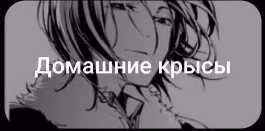144b84f869a50066851daa31b0202a7c.avif
