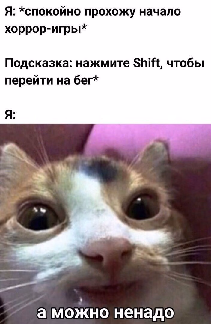 145a13cfcb9a9b96f98e3a2ca4f72c93.avif