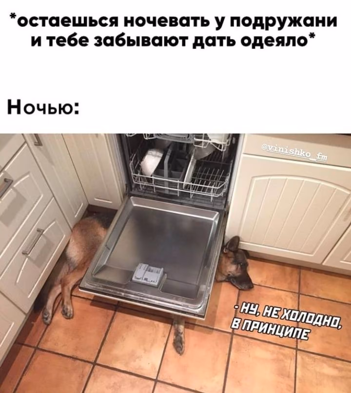 146b82b126a8d580316d233f1af45407.avif
